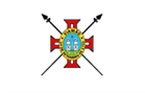 Bandeira de Viamão 