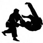 Hapkido em Viamão